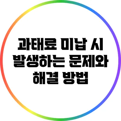 과태료 미납 시 발생하는 문제와 해결 방법