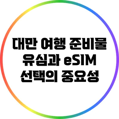 대만 여행 준비물: 유심과 eSIM 선택의 중요성