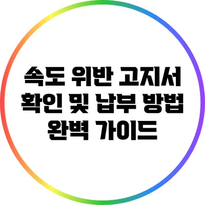 속도 위반 고지서 확인 및 납부 방법 완벽 가이드