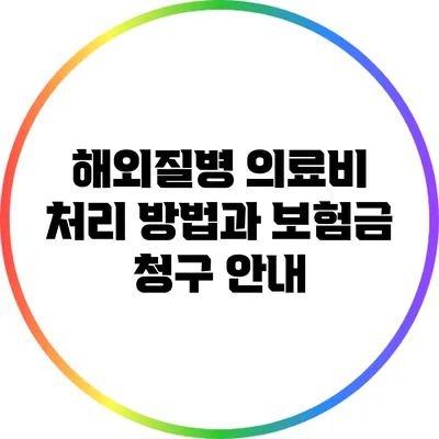 해외질병 의료비 처리 방법과 보험금 청구 안내