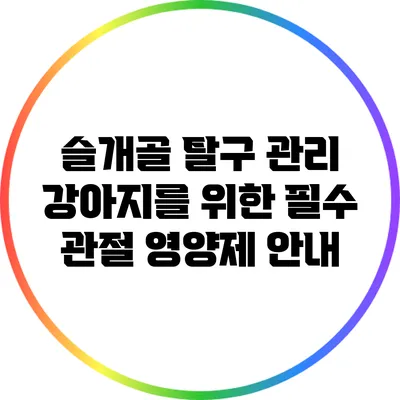 슬개골 탈구 관리: 강아지를 위한 필수 관절 영양제 안내