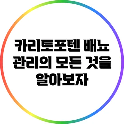 카리토포텐: 배뇨 관리의 모든 것을 알아보자