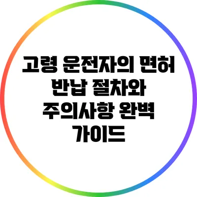 고령 운전자의 면허 반납 절차와 주의사항 완벽 가이드