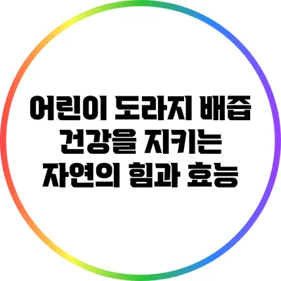 어린이 도라지 배즙: 건강을 지키는 자연의 힘과 효능