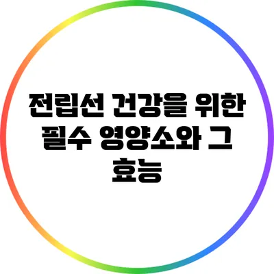 전립선 건강을 위한 필수 영양소와 그 효능