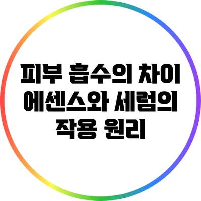 피부 흡수의 차이: 에센스와 세럼의 작용 원리