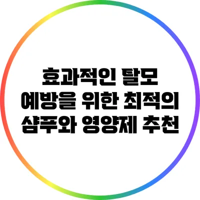효과적인 탈모 예방을 위한 최적의 샴푸와 영양제 추천