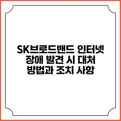 SK브로드밴드 인터넷 장애 발견 시 대처 방법과 조치 사항