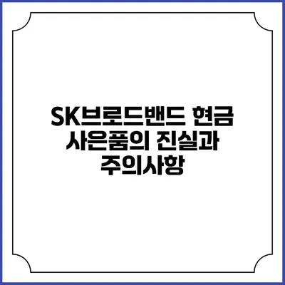 SK브로드밴드 현금 사은품의 진실과 주의사항