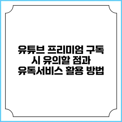 유튜브 프리미엄 구독 시 유의할 점과 유독서비스 활용 방법