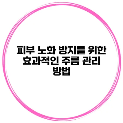 피부 노화 방지를 위한 효과적인 주름 관리 방법