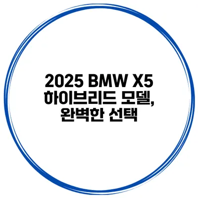 2025 BMW X5 하이브리드 모델, 완벽한 선택