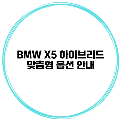 BMW X5 하이브리드 맞춤형 옵션 안내