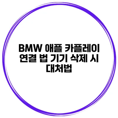 BMW 애플 카플레이 연결 법 기기 삭제 시 대처법