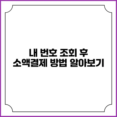 내 번호 조회 후 소액결제 방법 알아보기