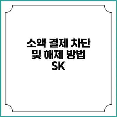 소액 결제 차단 및 해제 방법: SK
