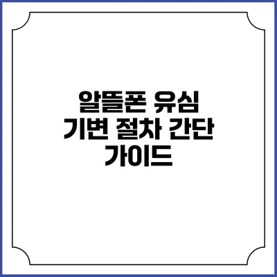 알뜰폰 유심 기변 절차 간단 가이드