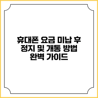 휴대폰 요금 미납 후 정지 및 개통 방법 완벽 가이드